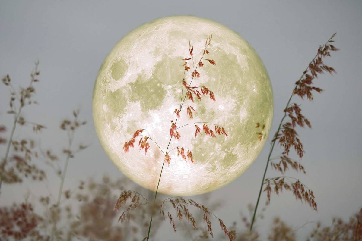 am 5. November kommt das Ende landwirtschaftlicher Arbeiten