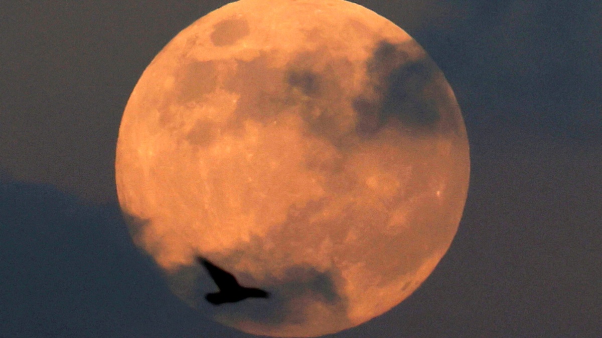 der größte Vollmond des Jahres - ein wahres Himmelsspektakel