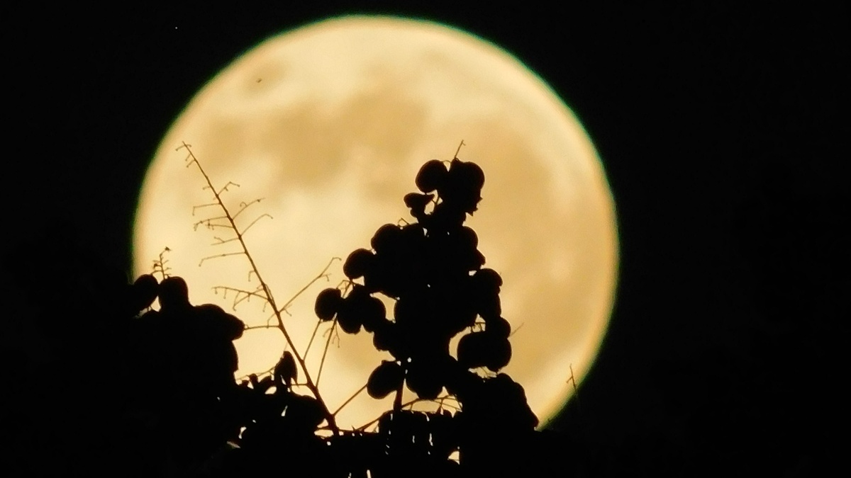 keine Landschaftsarbeiten mehr nach dem Supermond im Novmber