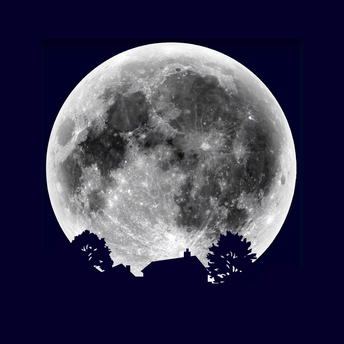 Supermond im November wird auch Bibermond genannt