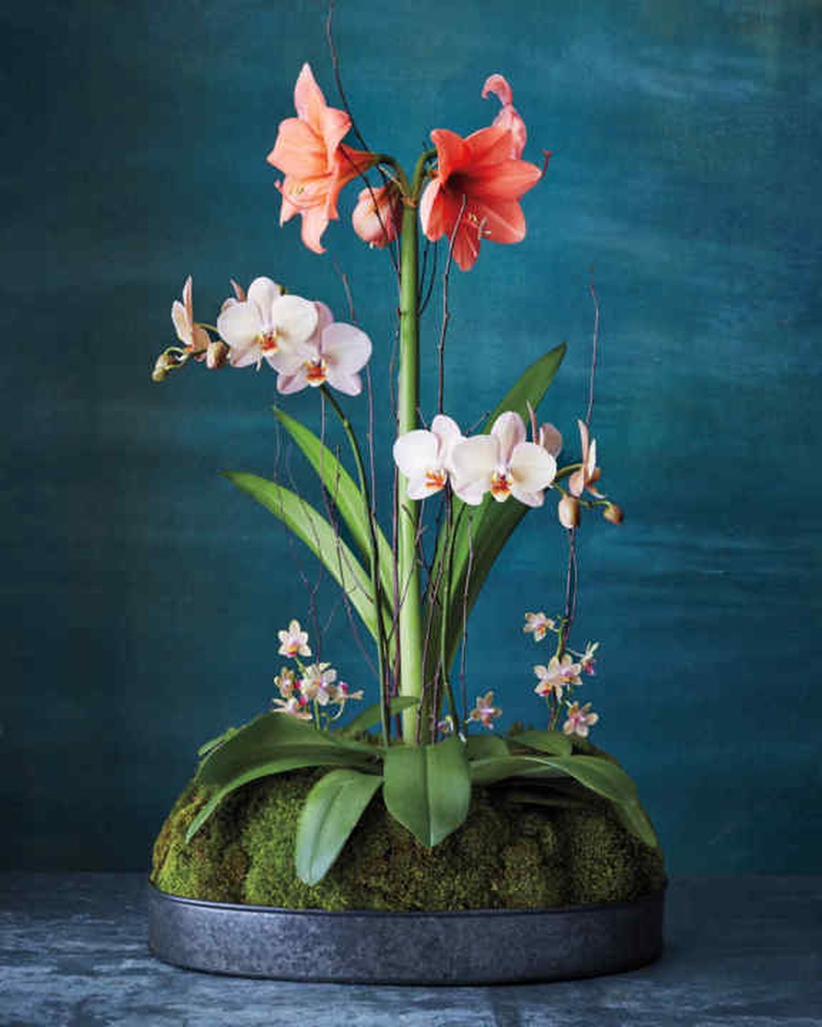 Mit Amaryllis weihnachtlich dekorieren - schöne Idee mit Orchideen 