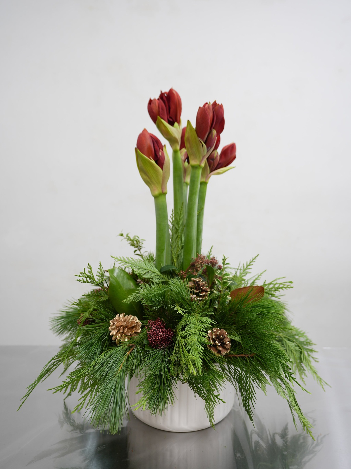 Amaryllis als Teil eines Christmas Arrangements 