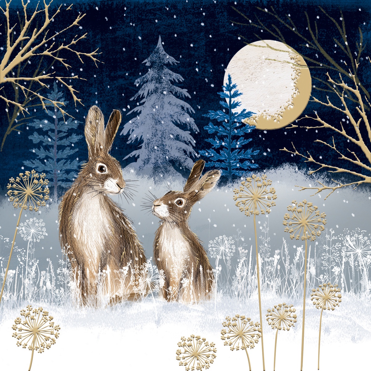 Winterlandschaft im Wals in der Nacht