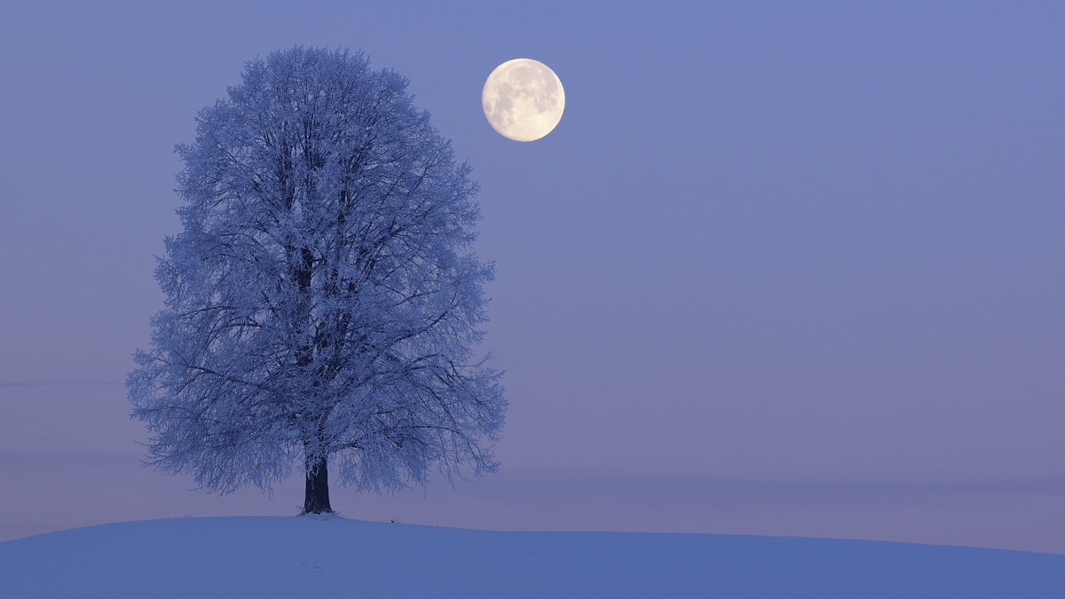 kalter Mond über der verschneiten Natur