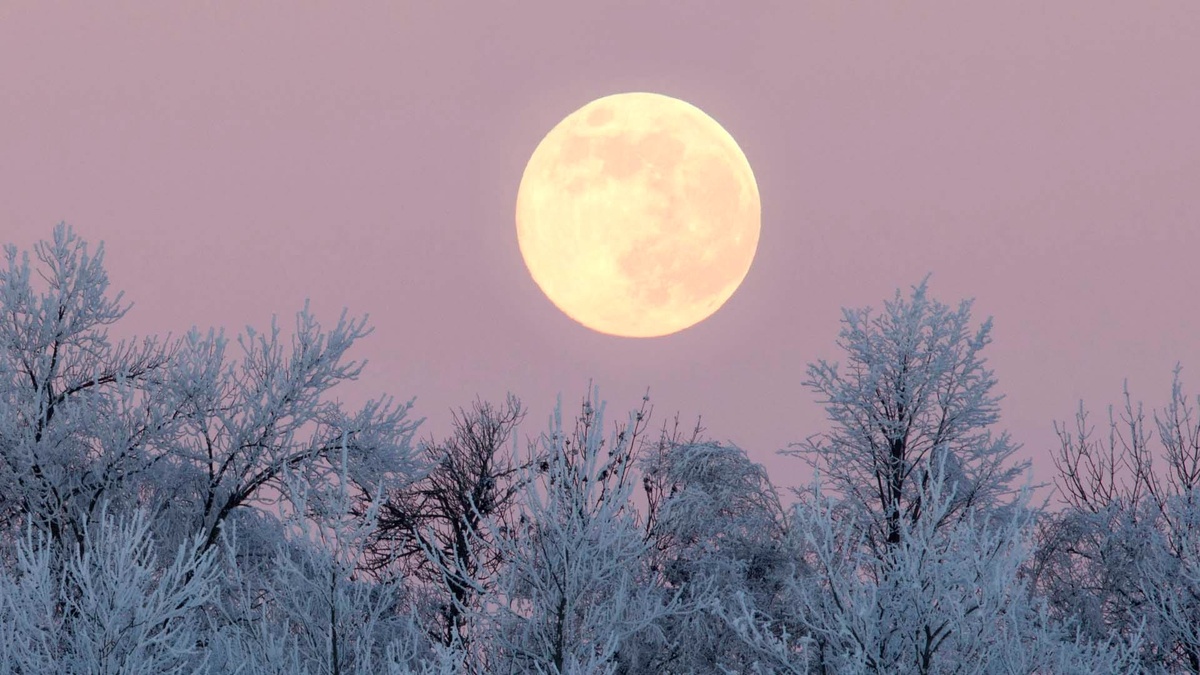 Kalter Mond über dem verschneiten Wald