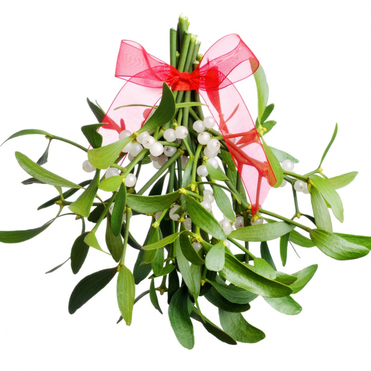 Mistelzweig mit Schleife - festliche Weihnachtsdeko