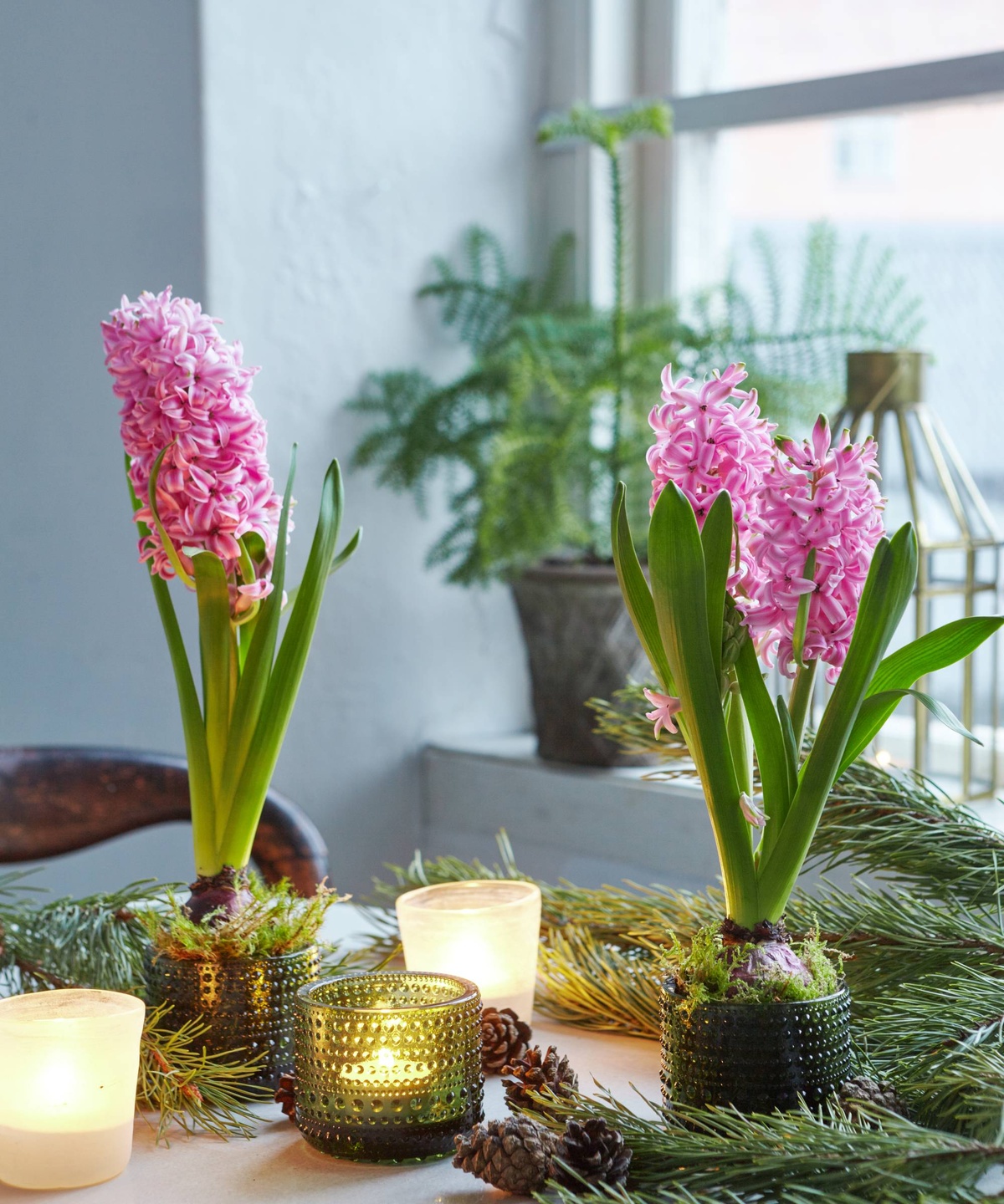 rosa Hyazinthen schmücken den Tisch - Deko mit Frühlingsblumen