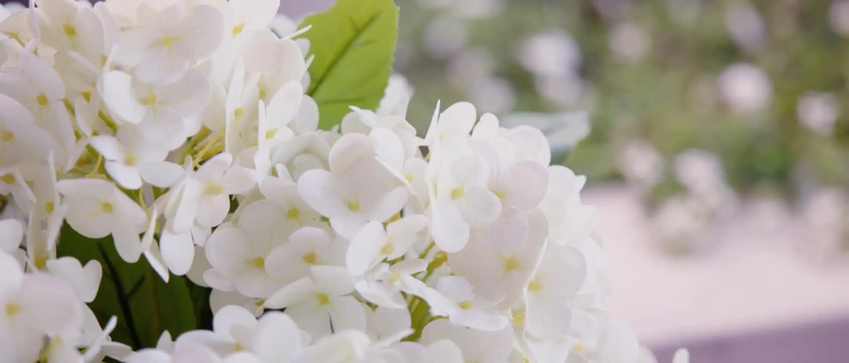 weiße Blüten im Garten - kreative Deko mit Frühlingsblumen 